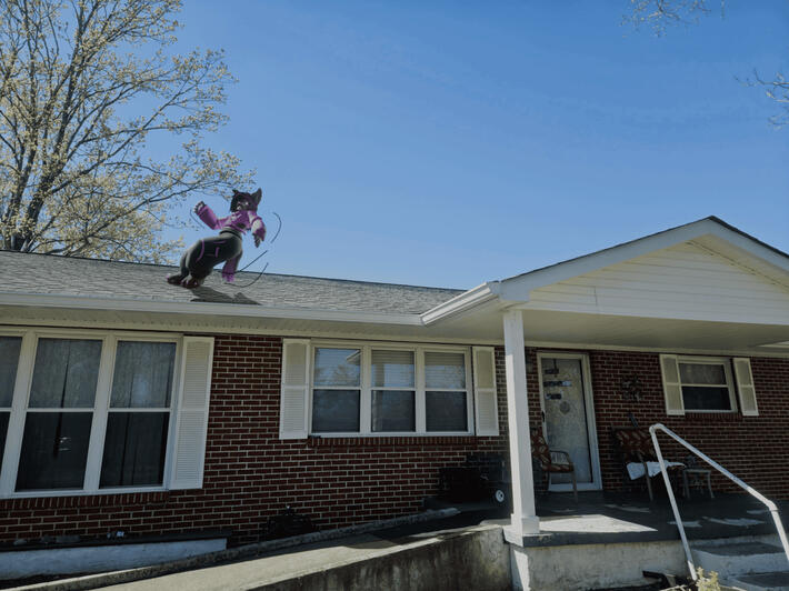 A mixed media image of Mysti falling off the roof (Heavily Compressed)